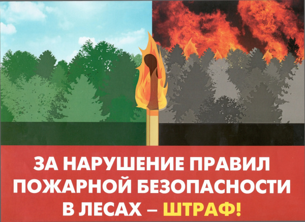 Внимание! Нарушение пожарной безопасности в лесу подлежит ответственности.