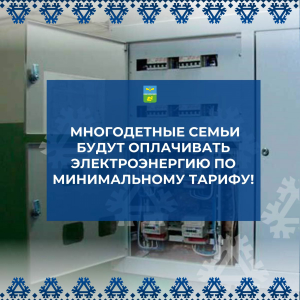 Многодетные семьи будут оплачивать электроэнергию по минимальному тарифу.