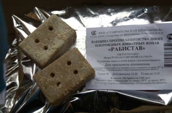Стартовал первый этап вакцинации диких животных против бешенства. Стартовал первый этап вакцинации диких животных против бешенства.