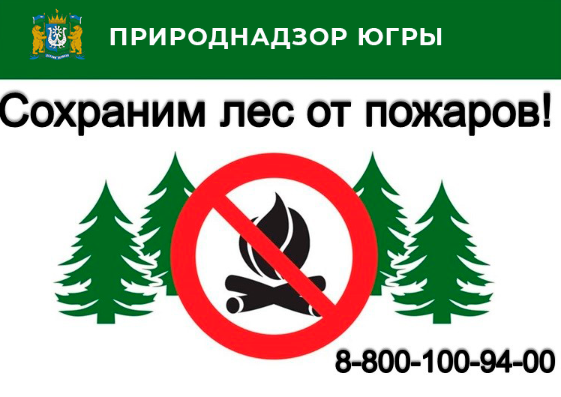 Берегите лес от пожара. Берегите лес от пожара.