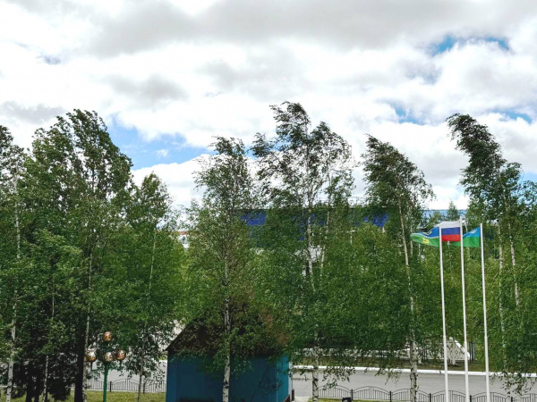 Внимание, неблагоприятное погодное явление!. Внимание, неблагоприятное погодное явление!.