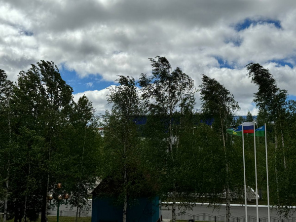 Предупреждение от ЕДДС на 29 июня. Предупреждение от ЕДДС на 29 июня.