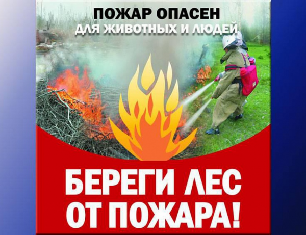 Нарушение правил пожарной безопасности в лесу - наказуемо. Нарушение правил пожарной безопасности в лесу - наказуемо.