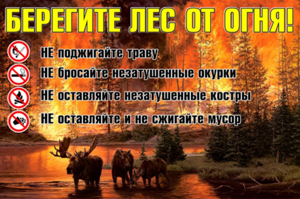В регионе пожароопасная обстановка. В регионе пожароопасная обстановка.