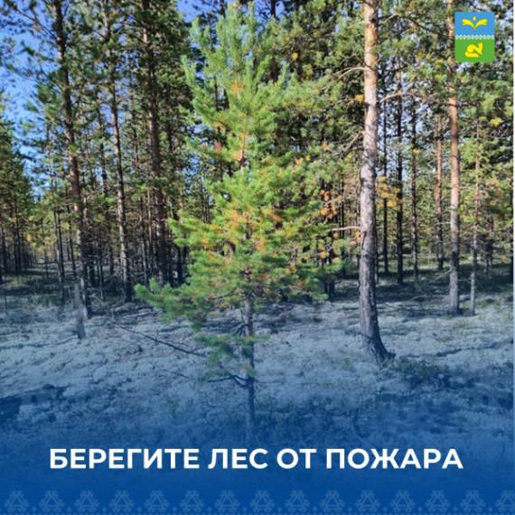 Берегите лес от пожара!. Берегите лес от пожара!.