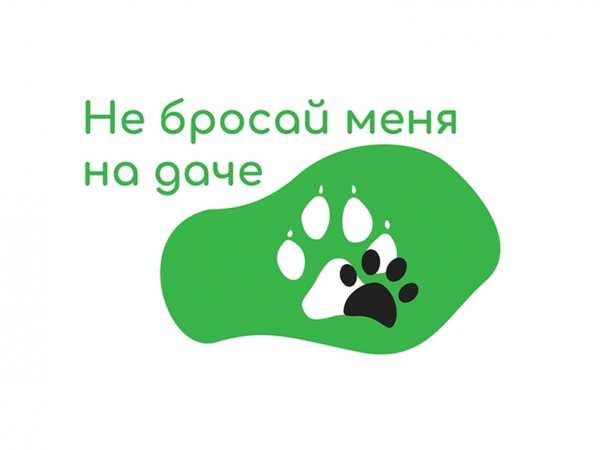 Зоозащитная акция "Не бросай меня на даче". Зоозащитная акция "Не бросай меня на даче".