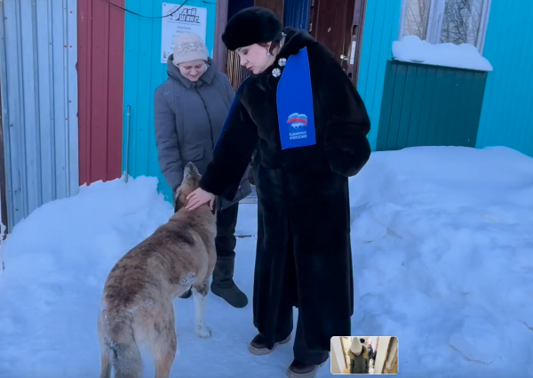 Городской приют АНО ЦВ «ДАЙ ШАНС» – некоммерческая организация, существует за счет пожертвований и остро нуждается в помощи горожан!. Городской приют АНО ЦВ «ДАЙ ШАНС» – некоммерческая организация, существует за счет пожертвований и остро нуждается в помощи горожан!.